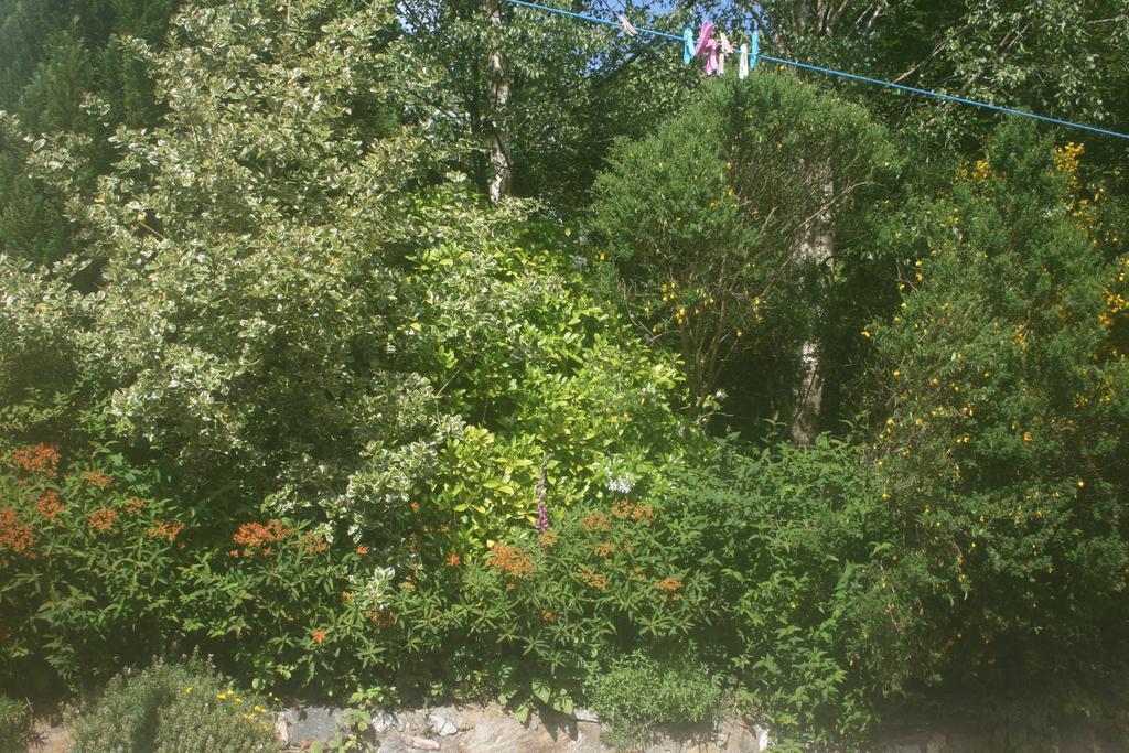 Saggart Laragh Mountain View Lodge חדר תמונה