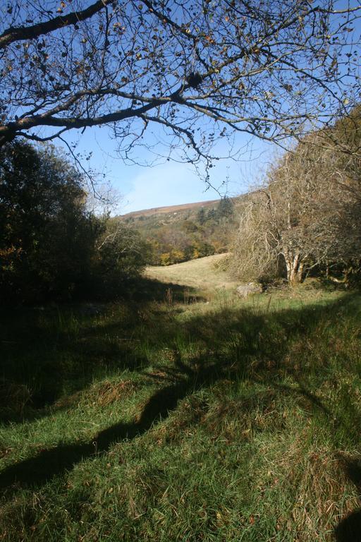 Saggart Laragh Mountain View Lodge מראה חיצוני תמונה